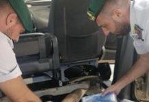 Calabria – fermato in autostrada con 60 kg di cocaina: arrestato