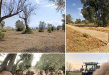 Rosarno – RoPam dopo pulizia parco archeologico: “Ci auguriamo che il lavoro fin qui svolto non vada disperso, la palla ora passa alle Istituzioni“