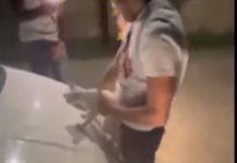 Polistena – ragazzi simulano atto sessuale su gattino e poi lo scaraventano via – denunciati