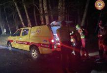 Cittanova – uscito per raccogliere funghi, non rientra a casa: avviate ricerche