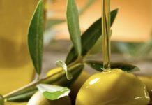 Coldiretti Calabria: si stima la diminuzione di olio almeno di una bottiglia su tre. Aumenterà la spesa per le famiglie