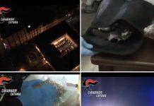 Operazione “Sangue blu” – 30 arresti