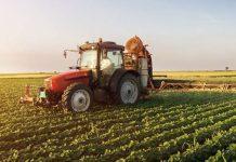 Coldiretti Calabria: i dati sul PIL conferma il calo in agricoltura rischiano 1/3 delle aziende