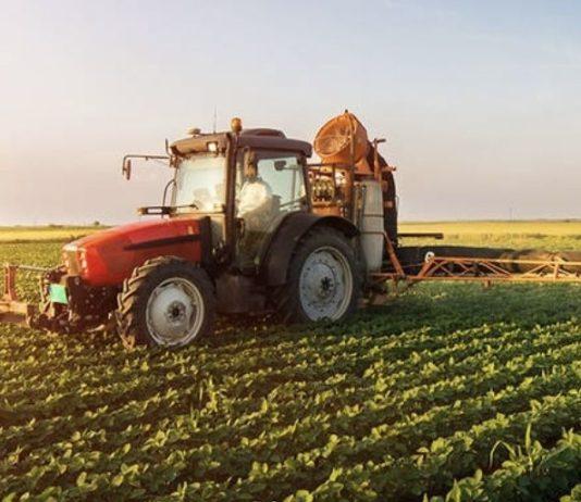 Coldiretti Calabria: i dati sul PIL conferma il calo in agricoltura rischiano 1/3 delle aziende
