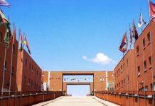 Aumenta il numero di iscrizioni all’Unical