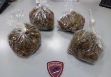 Detenzione spaccio di stupefacenti e furto di energia elettrica: arrestato 70enne a Taurianova