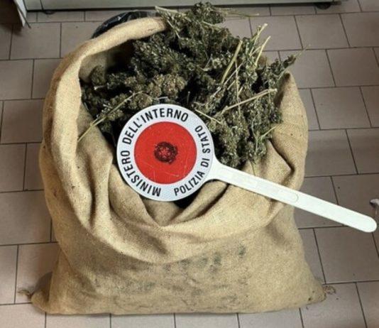 Scoperti e sequestrati oltre 6kg di marijuana