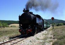 Il treno della Sila tra i protagonisti di Freaks Out di Mainetti, orgogliosi per l’ennesimo riconoscimento al film