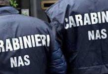 Controlli carabinieri Nas – irregolarità in attività, sanzioni