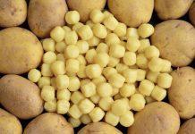 Gnocchi cremosi con salmone e pistacchi: ricetta e preparazione