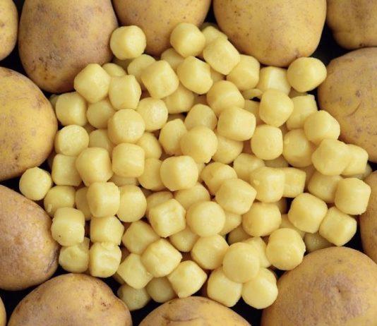 Gnocchi cremosi con salmone e pistacchi: ricetta e preparazione