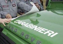 Acque reflue di un frantoio direttamente nella fiumara: denunciato titolare