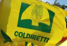 Coldiretti Calabria: calo dell’occupazione in agricoltura del 2,2%, ma occorre ripartire