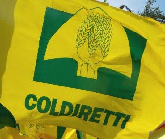 Coldiretti Calabria: in Calabria aiuti per mangiare per oltre 18mila bambini. Al villaggio Coldiretti di Cosenza anche l’iniziativa della spesa sospesa per gli indigenti