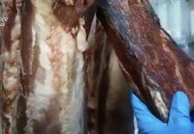 Rosarno – sequestrati 700kg di carne in noto ristorante. Violazioni in materia di lavoro: sospesa attività