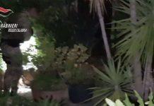 Operazione dei carabinieri – blitz a Rosarno: 63 arresti