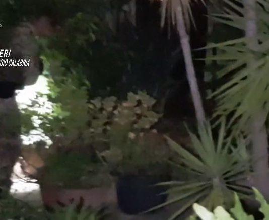 Operazione dei carabinieri – blitz a Rosarno: 63 arresti