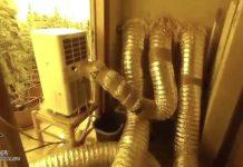 Rinvenuta a Platì piantagione di marijuana – arrestato 25enne