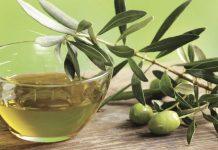 Olio di Calabria IGP: Tutti i segreti per orientarsi tra le promozioni dell’Olio Extravergine di Oliva