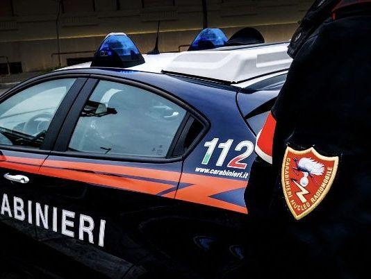 Santa Cristina -Rinvenuti 80 ghiri all’interno di un congelatore: denunciato 58enne