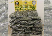 Marijuana spedita tramite corriere – rinvenuti 55 kg: un arresto