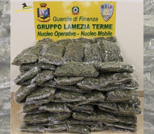 Marijuana spedita tramite corriere – rinvenuti 55 kg: un arresto