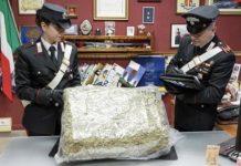 Acquista pastori online per presepe, arrivano a casa 10kg di marijuana