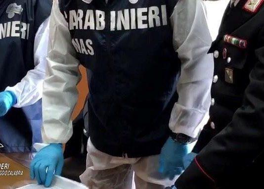 Reggio: sequestrati 295 kg di prodotti ortofrutticoli