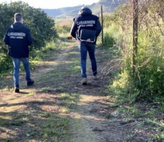 Sfruttamento lavoro braccianti: indagati amministratori e dipendenti società agricola