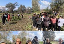 Rosarno – continua l’operato di RoPAM: anche ieri pulizia del parco archeologico