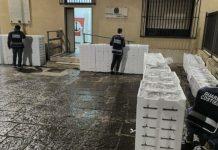 Sequestrate oltre due tonnellate di novellame di sarda