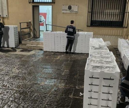 Sequestrate oltre due tonnellate di novellame di sarda