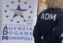 Scoperta frode in agevolazioni su gasolio agricolo: una persona denuncia