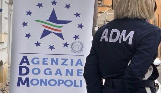 Scoperta frode in agevolazioni su gasolio agricolo: una persona denuncia