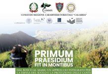 Covegno “Dal bosco al mare, approccio integrato per la difesa del suolo e la protezione delle coste”