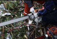 Cade dalla scala mentre pota rami e uccide per sbaglio moglie con motosega