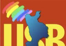 Usb Calabria: “La Pubblica Amministrazione calabrese ha bisogno di lavoro vero e dignitoso: il resto alimenta illusioni e produce sfruttamento“