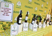 Al Vinitaly, vincono le bottiglie autoctone: il vino Cirò nella top 15 dei vini sovranisti che hanno aumentato di più le vendite nel 2022