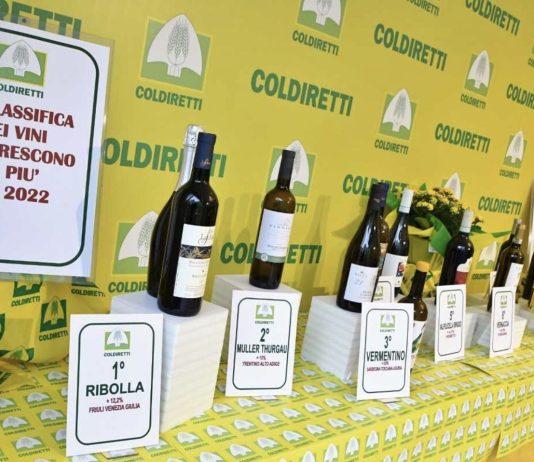 Al Vinitaly, vincono le bottiglie autoctone: il vino Cirò nella top 15 dei vini sovranisti che hanno aumentato di più le vendite nel 2022