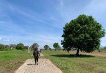 Rosarno: l’impegno di RoPam, il 12 luglio riapertura Parco Archeologico Antica Medma