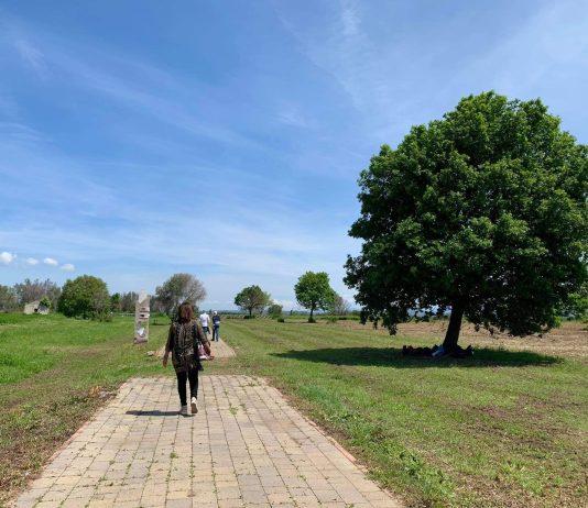 Rosarno: l’impegno di RoPam, il 12 luglio riapertura Parco Archeologico Antica Medma
