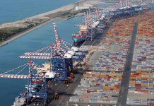 Operaio morto al porto di Gioia Tauro, rinviato a giudizio Agostinelli