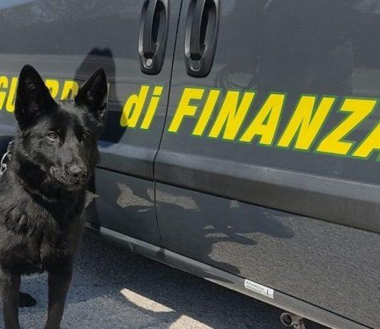 In autostrada con 5 kg di cocaina in auto: arrestato 35enne