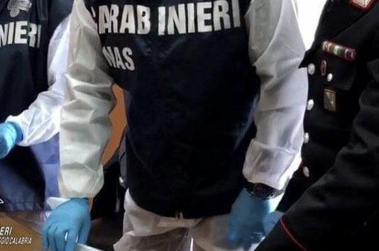 Controlli carabinieri NAS – sequestrati oltre 400 kg di alimenti e sanzioni per oltre 20.000 euro