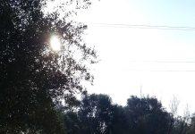 Rosarno – RoPAM annuncia apertura del Parco Archeologico