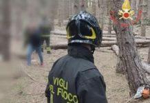 Calabria – travolto da albero che stava tagliando: muore 33enne