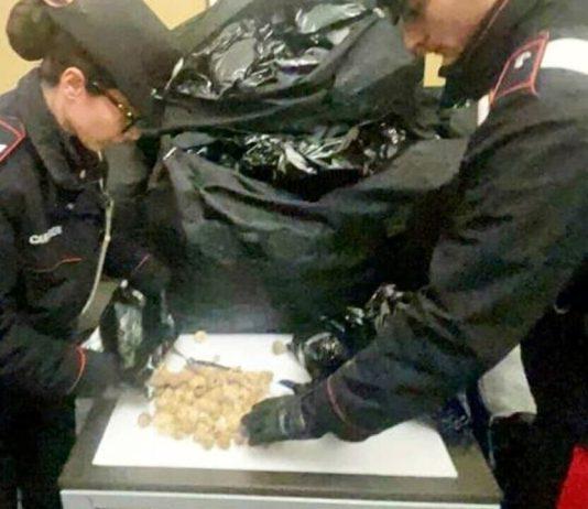 Sale su taxi con 5 valigie piene di oppio, arrestata