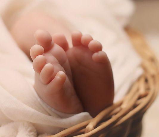 Il Pensiero Del Giorno. La Storia del piccolo Enea e il suo Destino