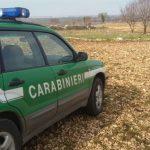 Fucile a un minorenne e colpo esploso: denunciato un cacciatore dopo un video sui social