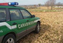 Operazione “FAKE FARM” – Truffa all’INPS con falsi braccianti alle dipendenze di un’impresa agricola – Sequestrate somme di denaro e beni per un valore complessivo pari a €100.000,00 circa